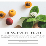The Fruit of the Spirit